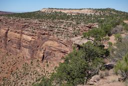 Hideout canyon overlook [sat sep 15 14:24:58 mdt 2018]